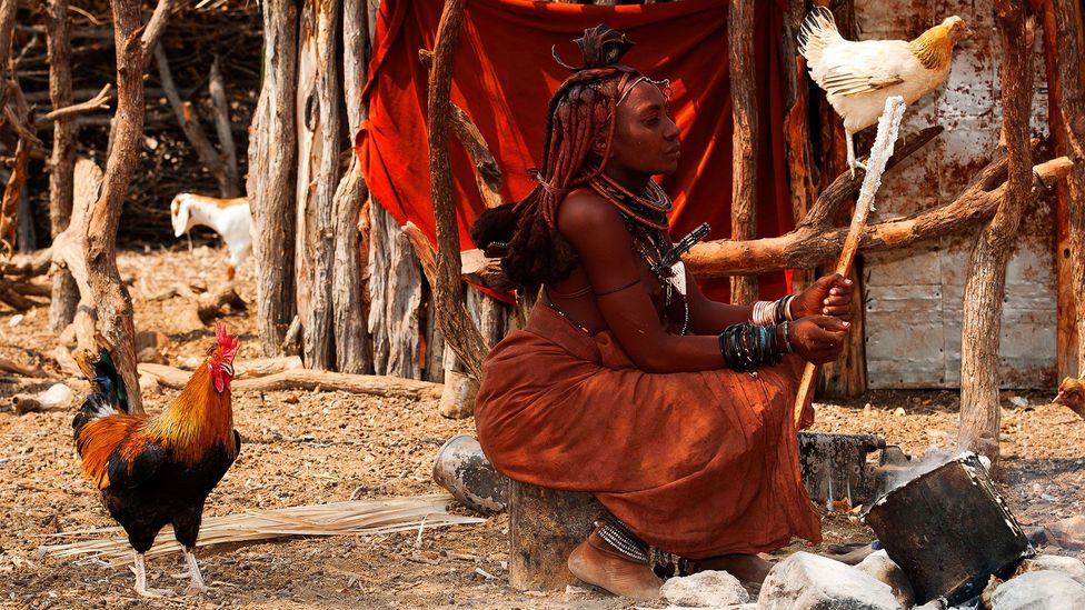 Himba people living their traditional life appear to have remarkable visual concentration, an ability to stay focused on the smallest details (Credit: Alamy) Himba people living their traditional life appear to have remarkable visual concentration, an ability to stay focused on the smallest details (Credit: Alamy)