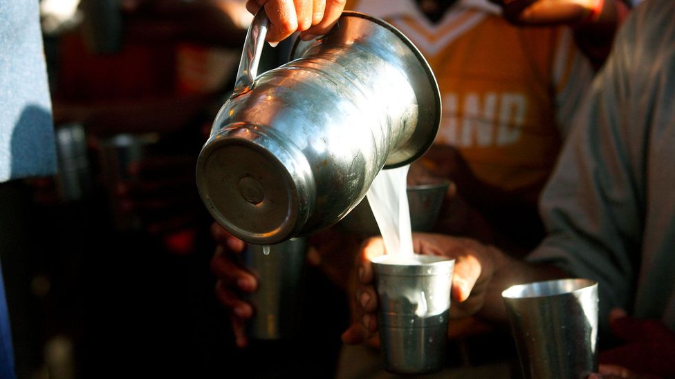 Thandai is a milk-based, mildly spiced Indian beverage (Credit: Dinodia Photos/Alamy)