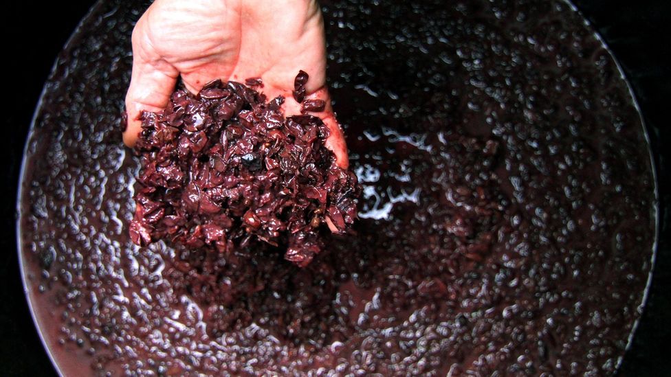 Plum-based rakia is especially popular in Serbia (Credit: NurPhoto/Getty) Plum-based rakia is especially popular in Serbia (Credit: NurPhoto/Getty)