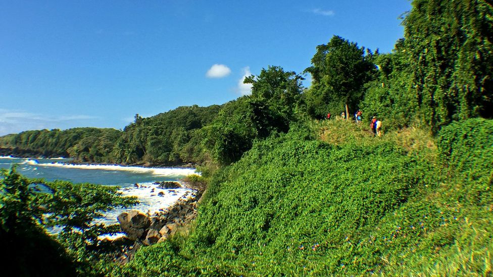 Guadeloupeans have been hiking and picnicking in the coastal rainforest for generations (Credit: Melissa Banigan)