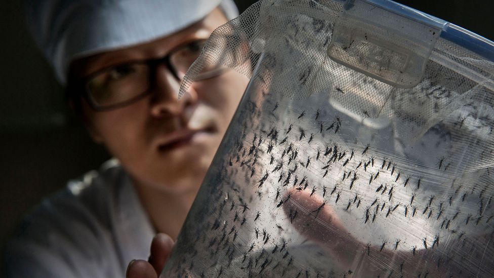 It's crucial to have vaccines ready to fight the next global epidemic — be it Zika, Ebola, or a new disease. (Credit: Getty Images)