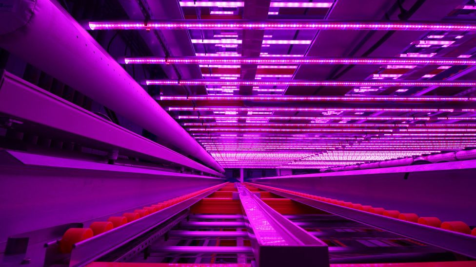 How Vertical Farming Reinvents Agriculture Bbc Future