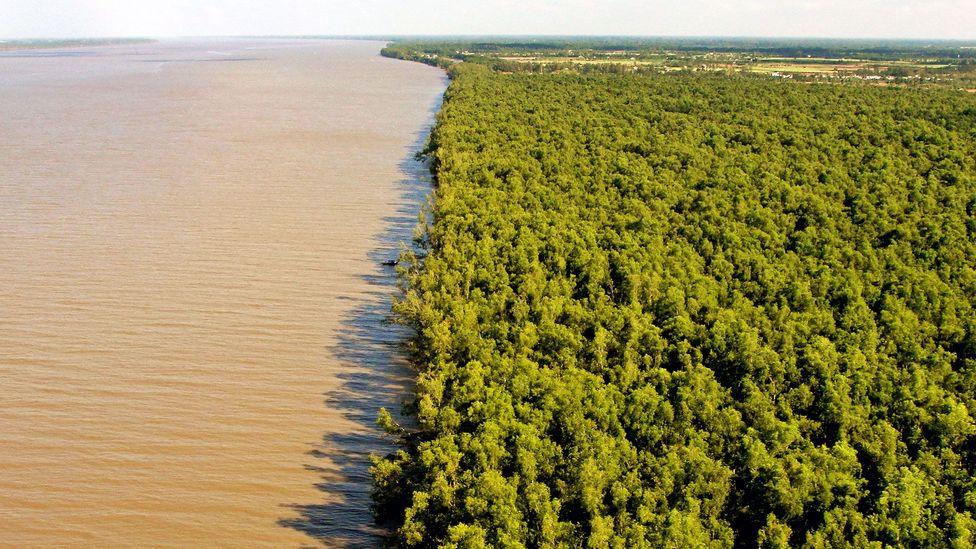 Mangrove forests protect coastlines by acting as natural storm barriers (Credit: ©GIZ) Mangrove forests protect coastlines by acting as natural storm barriers (Credit: ©GIZ)