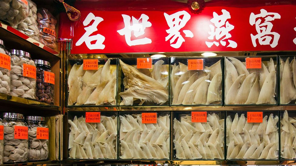 Shelves of dried shark fins are common in Hong Kong's Sheung Wan district - but it can be very hard to tell whether the goods come from protected species (Credit: Alamy)