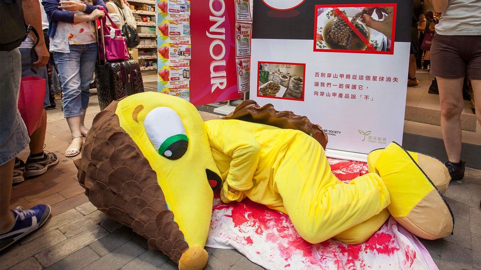 Conservationists attempt to raise awareness of the pangolin's plight on Hong Kong's streets (Credit: Alexandra Andersson)