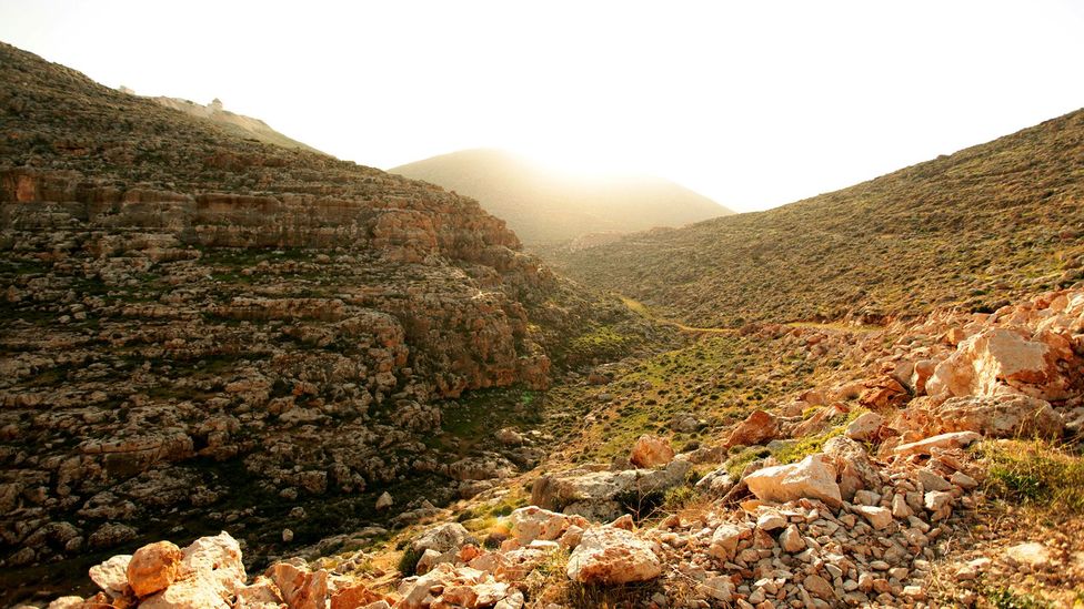 Families along the trail are proud to show their slice of the West Bank to anyone who wants to see (Credit: Leila Molana-Allen) Families along the trail are proud to show their slice of the West Bank to anyone who wants to see (Credit: Leila Molana-Allen)