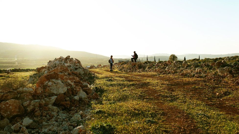 The path weaves through orchards, rocky slopes and field boundaries (Credit: Leila Molana-Allen) The path weaves through orchards, rocky slopes and field boundaries (Credit: Leila Molana-Allen)