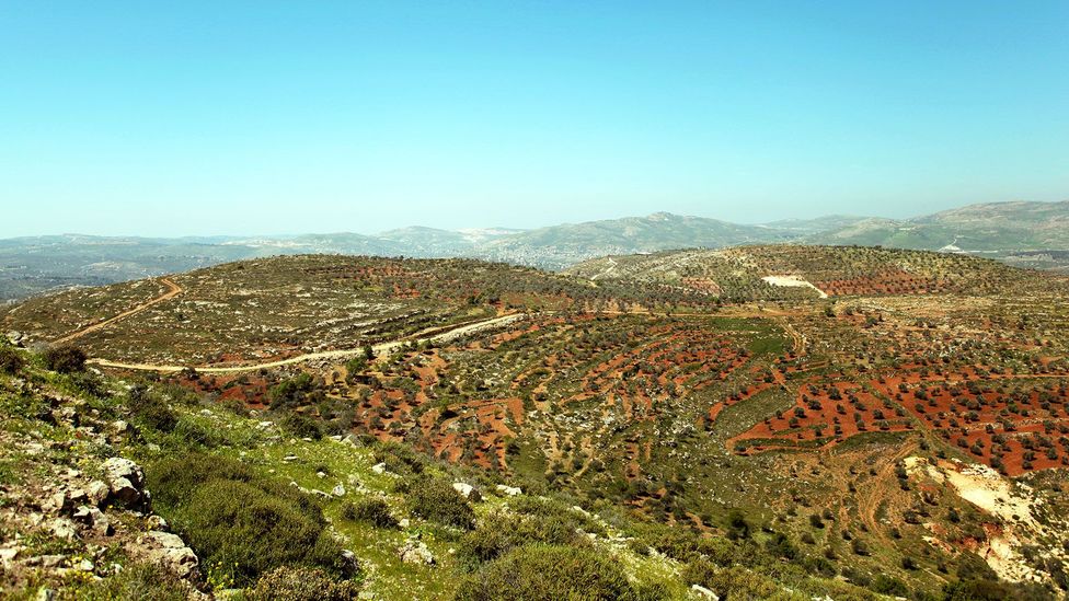 The Masar Ibrahim al-Khalil is a 321km walking trail across the Palestinian Territories (Credit: Leila Molana-Allen) The Masar Ibrahim al-Khalil is a 321km walking trail across the Palestinian Territories (Credit: Leila Molana-Allen)