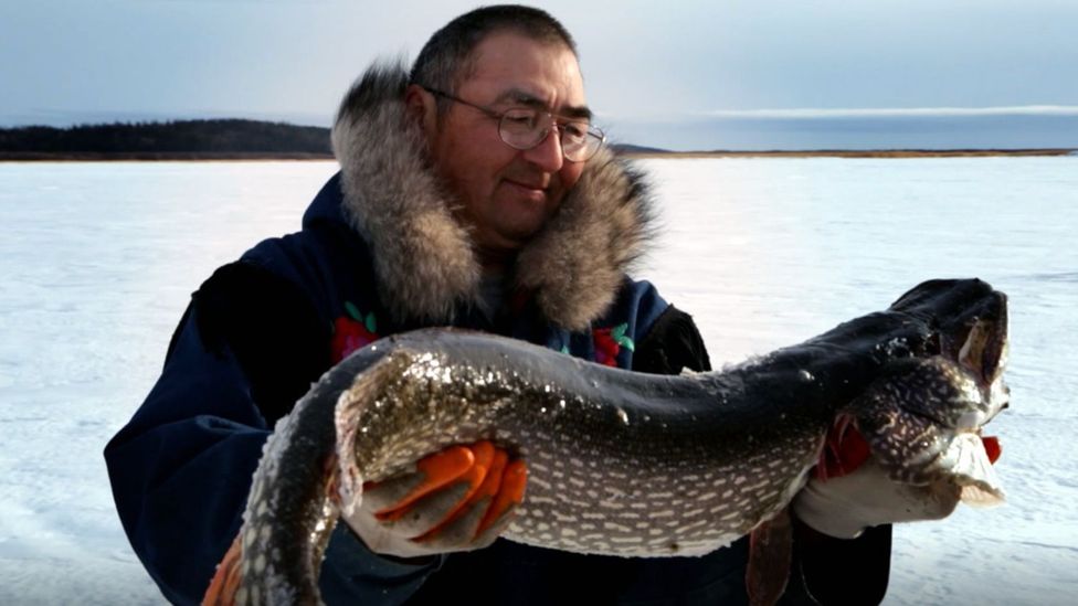 A 518km ice-road across the tundra - BBC Travel