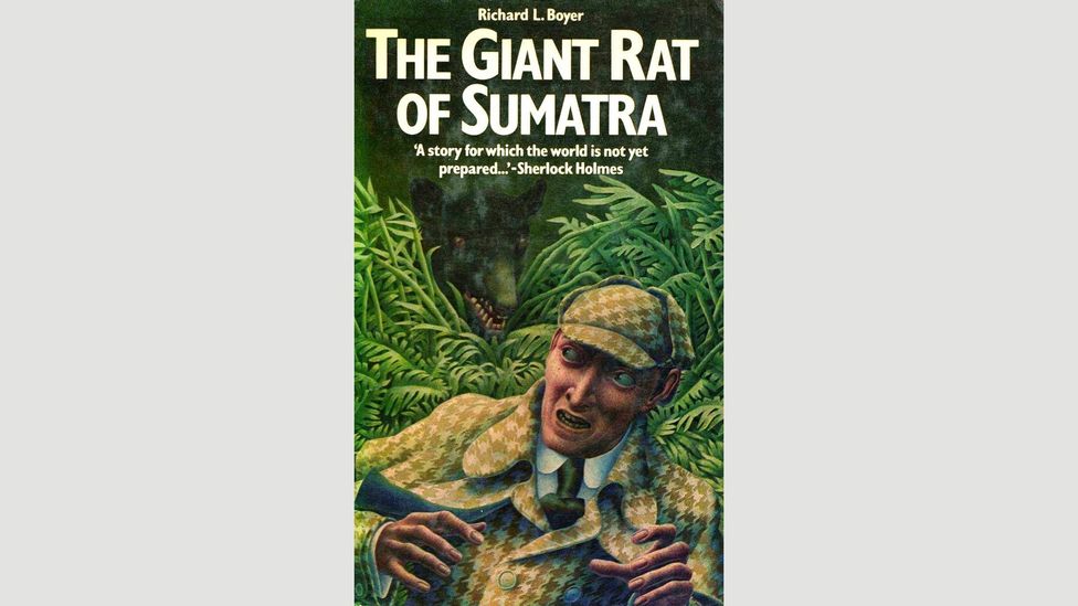 Doyle often teased Sherlock Holmes mysteries without further elaboration, such as the story of The Giant Rat of Sumatra, which others later fleshed out (Credit: Titan)