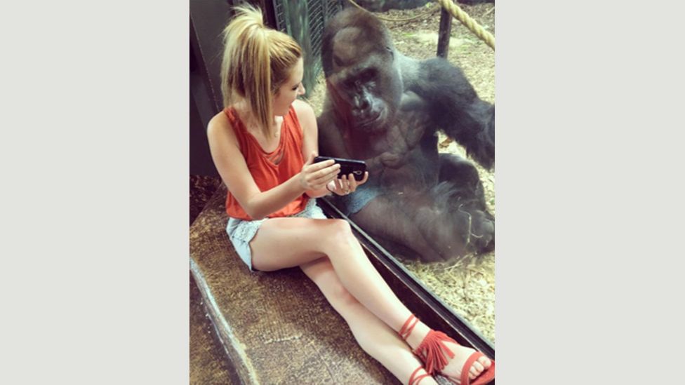 This photo of Lindsey Costello and the gorilla Jelani went viral this week after it was posted on Instagram (Credit: Lindsey Costello) This photo of Lindsey Costello and the gorilla Jelani went viral this week after it was posted on Instagram (Credit: Lindsey Costello)