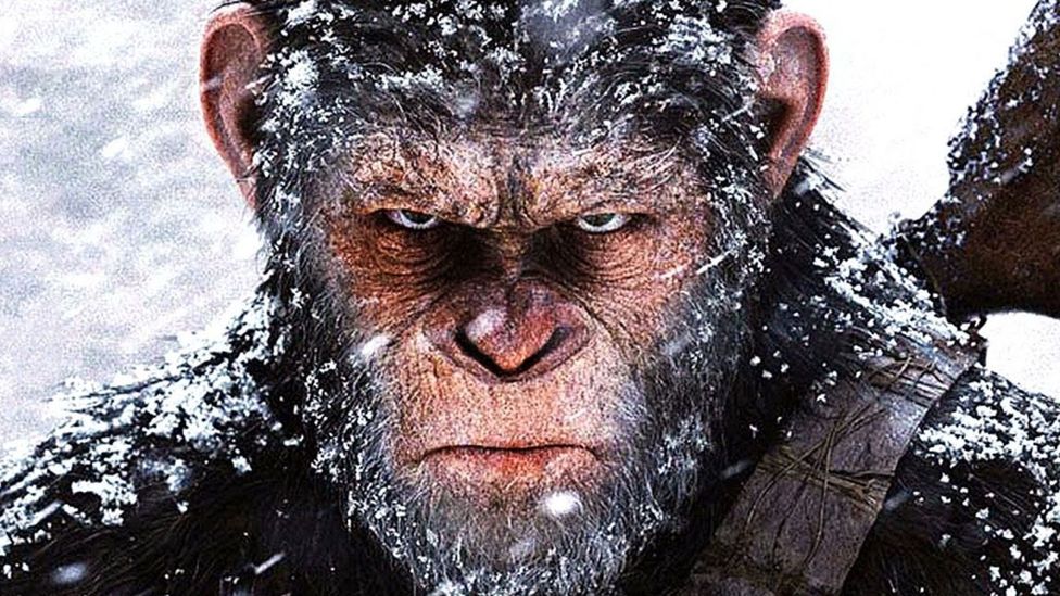 Film Review: War For The Planet Of The Apes - Bbc Culture