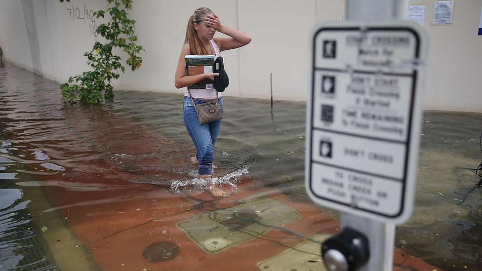 Floods and rising sea levels are becoming more common in coastal regions like Florida as populations grapple with the effects of climate change (Credit: Getty Images)