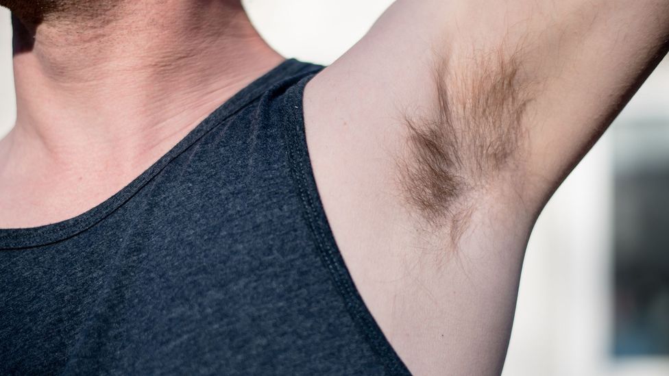 Are women any cleaner than men? BBC Future