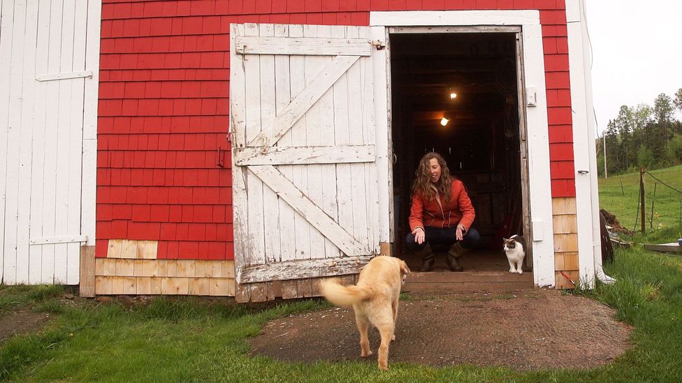 A barn on Cape Breton Island, Nova Scotia (Credit: Eliana Alvarez Martinez) A barn on Cape Breton Island, Nova Scotia (Credit: Eliana Alvarez Martinez)