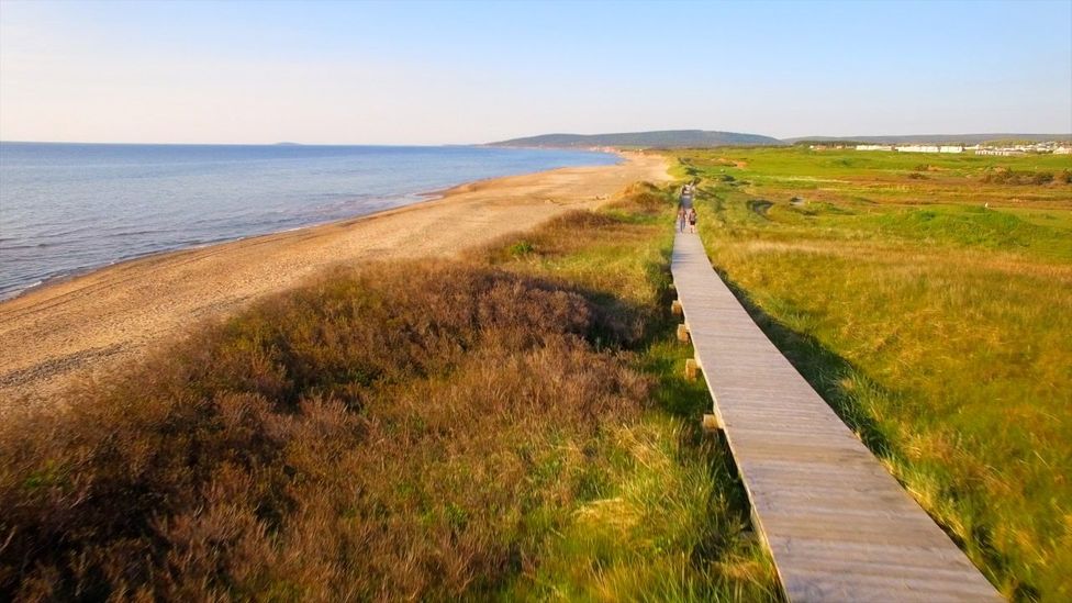 A boardwalk along the coast of Cape Breton Island, Nova Scotia (Credit: Eliana Alvarez Martinez) A boardwalk along the coast of Cape Breton Island, Nova Scotia (Credit: Eliana Alvarez Martinez)