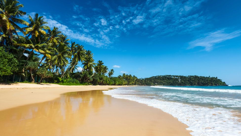One way to think about protecting yourself is imagining your security as an island, with a beach followed by a dense jungle (Credit: iStock) One way to think about protecting yourself is imagining your security as an island, with a beach followed by a dense jungle (Credit: iStock)