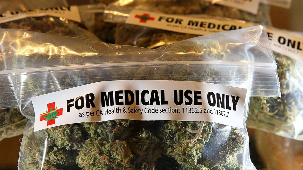 Those who use cannabis for medical reasons can still fall foul of company drug-testing policies (Credit: Getty Images) Those who use cannabis for medical reasons can still fall foul of company drug-testing policies (Credit: Getty Images)