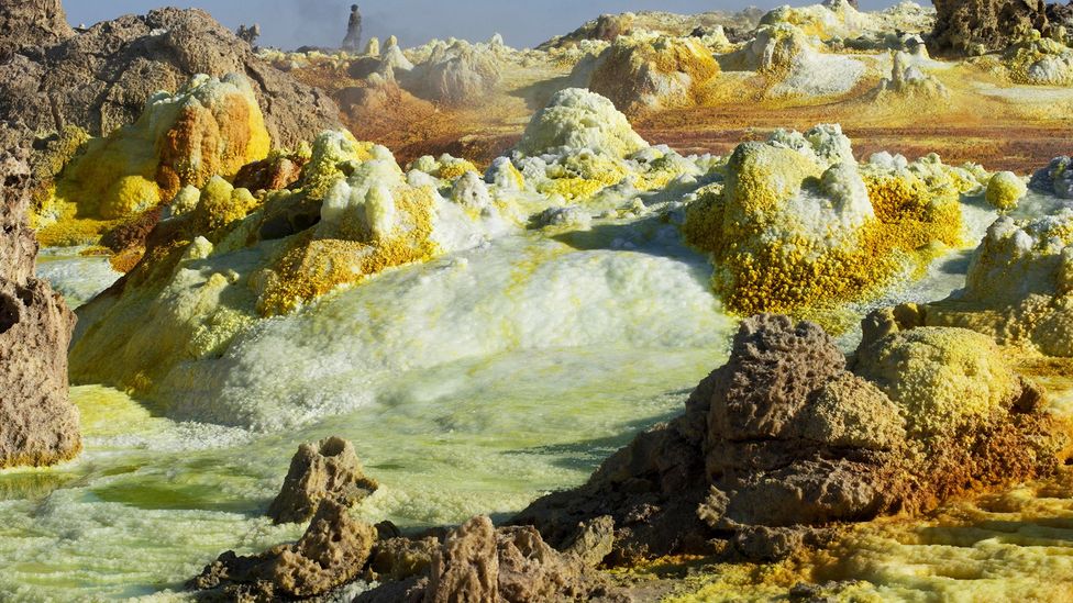 The pools are the most acidic places in the world where life has been found (Credit: Alamy)