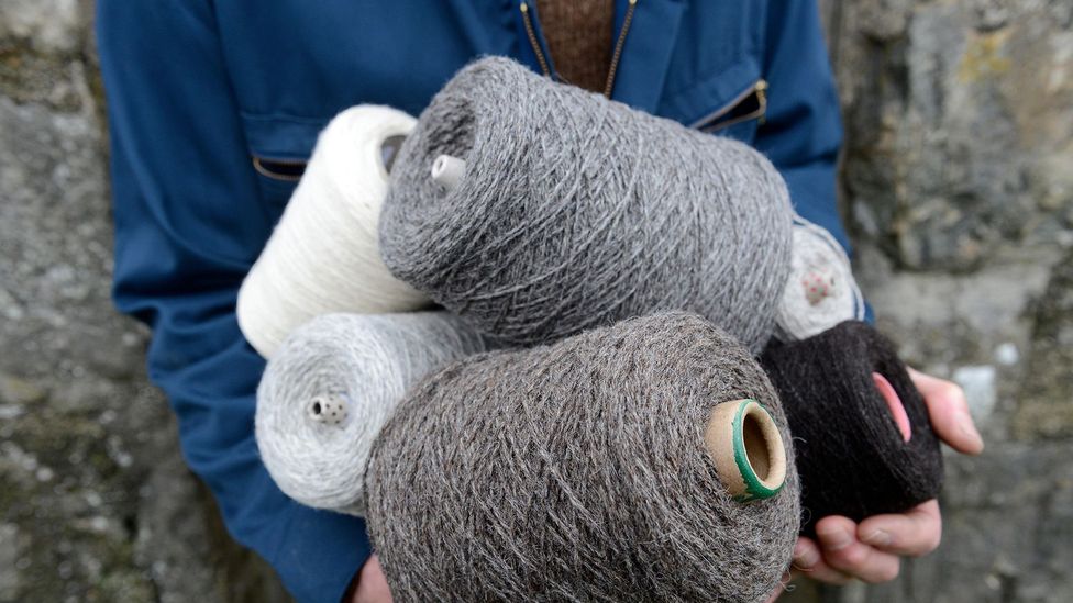 For centuries, islanders have knitted using wool from Shetland sheep, a tradition that continues today (Credit: Alamy)