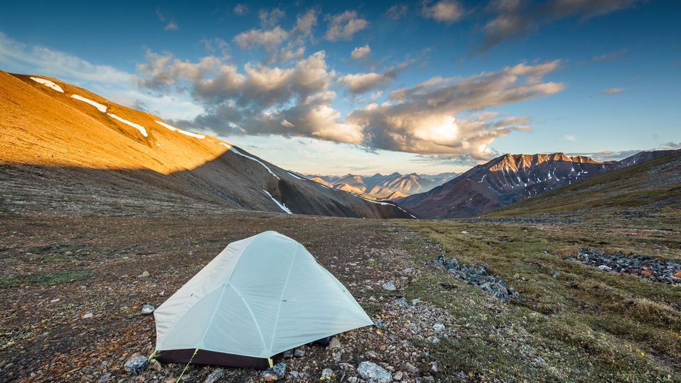 The new 'gold' of the Yukon - BBC Travel