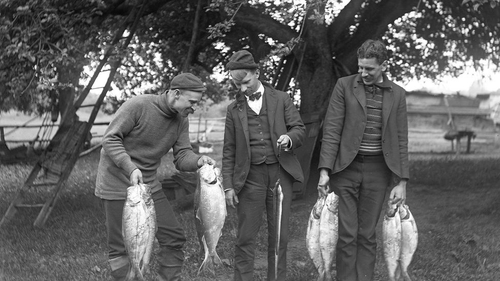 The New England Fish Dish That Saved A Nation Bbc Travel