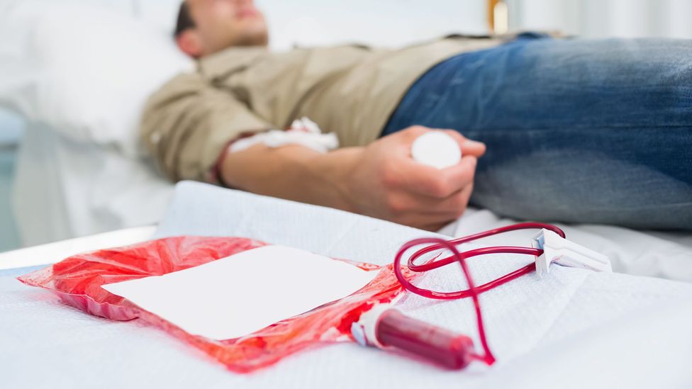 Blood transfusions from young donors can positively affect the health of older patients (Credit: Alamy)