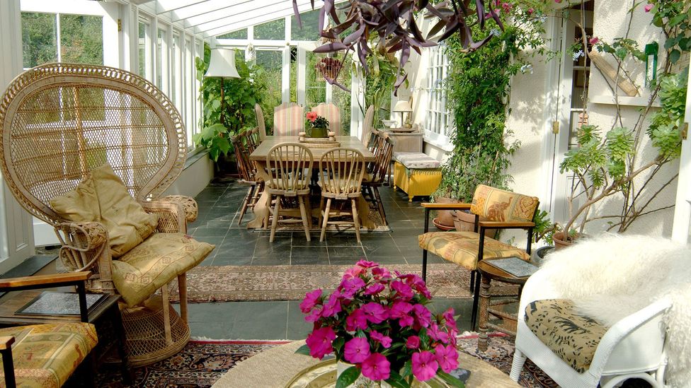 A symbol of generational ennui – or simply some plants to make the sunroom more lively? (Credit: Alamy) A symbol of generational ennui – or simply some plants to make the sunroom more lively? (Credit: Alamy)