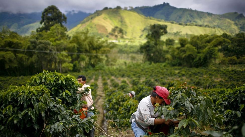 Dark Markets Colombia