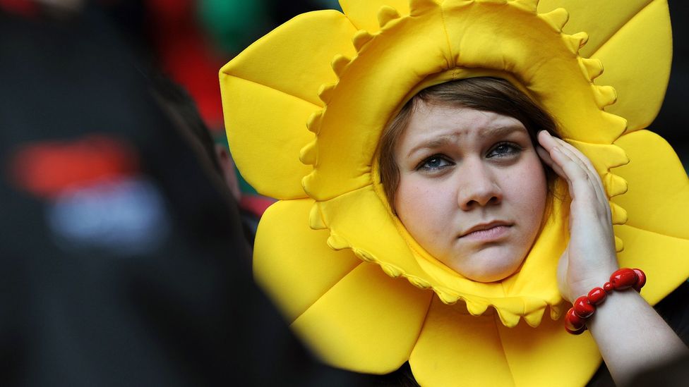 The scientific name for daffodil is narcissus (Credit: Getty Images)