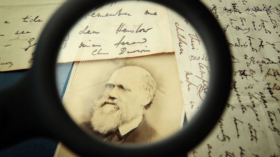 Far from failure, pivoting can lead to success. Charles Darwin first studied to become a doctor, then a parson (Credit: Getty Images) Far from failure, pivoting can lead to success. Charles Darwin first studied to become a doctor, then a parson (Credit: Getty Images)