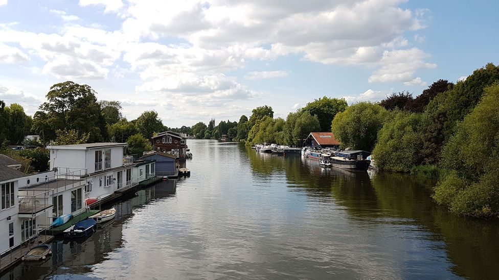 Eel Pie Island is one of around 180 river islets along the Thames (Credit: Ella Buchan)