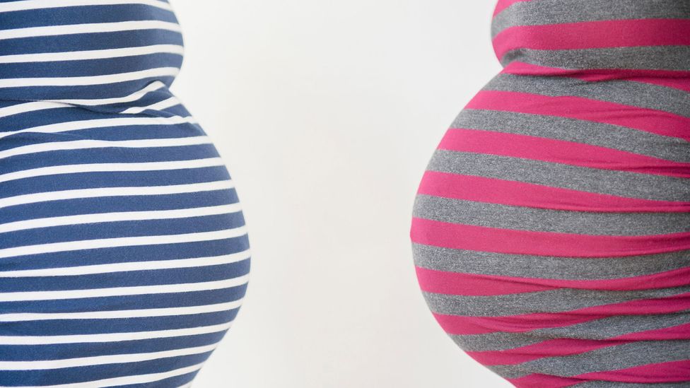 Three Myths About Pregnancy Bbc Future