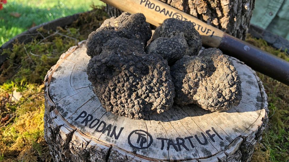 Visitors to Istria, Croatia, can indulge in all things truffles (Credit: David Farley)