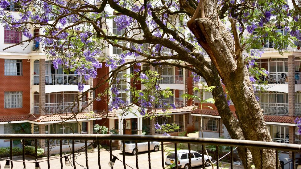 Luxuries like cheese and wine can be expensive but Expatisan.com says the cost of living in Nairobi is 17% cheaper than Johannesburg, South Africa (Credit: Harriet Constable) Luxuries like cheese and wine can be expensive but Expatisan.com says the cost of living in Nairobi is 17% cheaper than Johannesburg, South Africa (Credit: Harriet Constable)