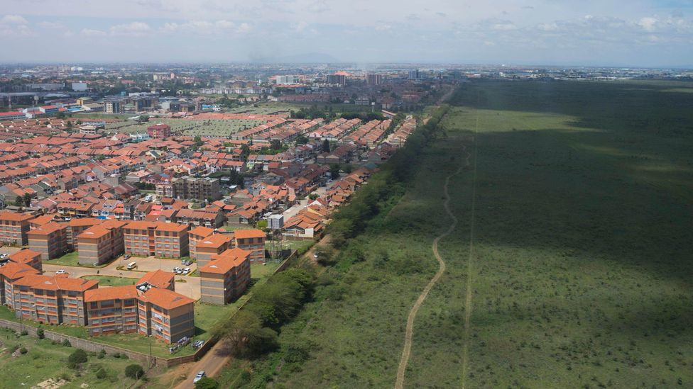 Nairobi is the only city in the world with a game park. Nairobi National Park is a preserved ecosystem where you can view wildlife in its natural habitat (Credit: Alamy) Nairobi is the only city in the world with a game park. Nairobi National Park is a preserved ecosystem where you can view wildlife in its natural habitat (Credit: Alamy)