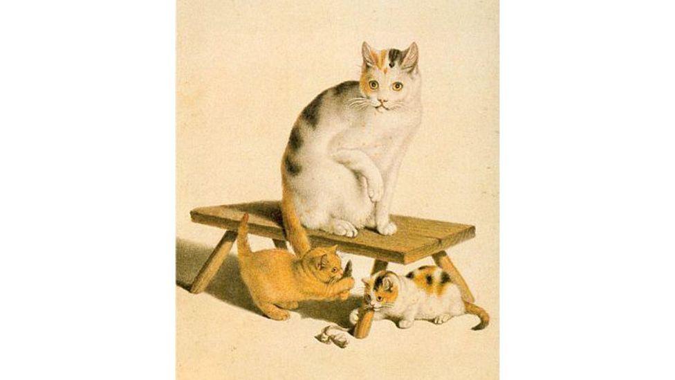 Gottfried Mind was an "artistic savant" who drew cats in extraordinary detail (Credit: Alamy) Gottfried Mind was an "artistic savant" who drew cats in extraordinary detail (Credit: Alamy)