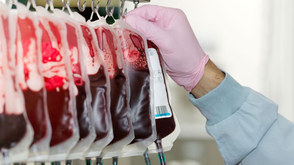 Could blood transfusions from the young slow ageing? (Credit: Getty Images) Could blood transfusions from the young slow ageing? (Credit: Getty Images)