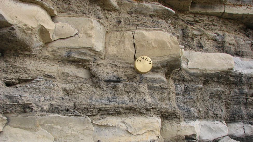 This golden spike marks the Cenomanian-Turonia boundary in Colorado, US (Credit: Brad Sageman) This golden spike marks the Cenomanian-Turonia boundary in Colorado, US (Credit: Brad Sageman)