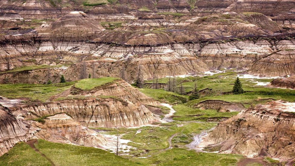 The sand and mud deposits of Canada’s Badlands quickly buried bones, making the area one of the world’s richest hunting grounds for dinosaur fossils (Credit: Getty)