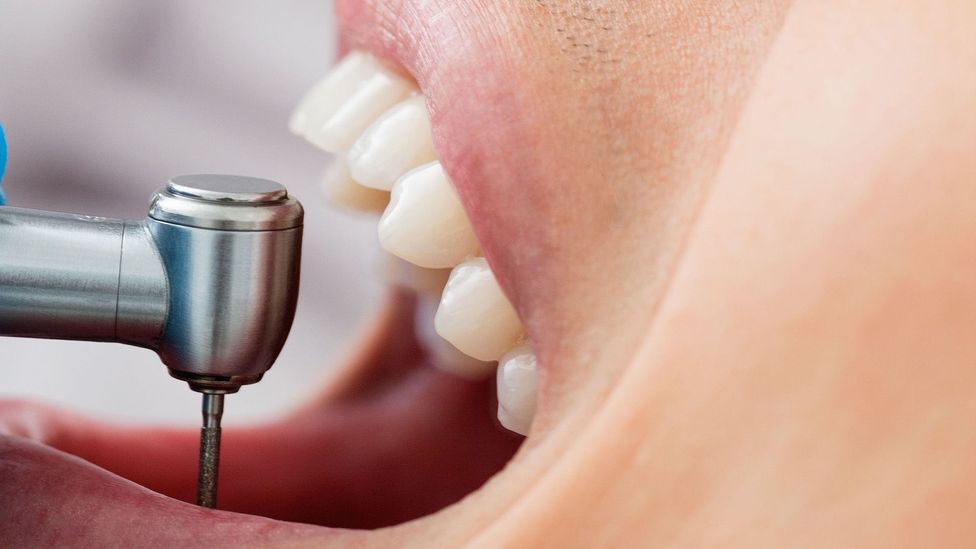 (Credit: Alamy Stock Photo)