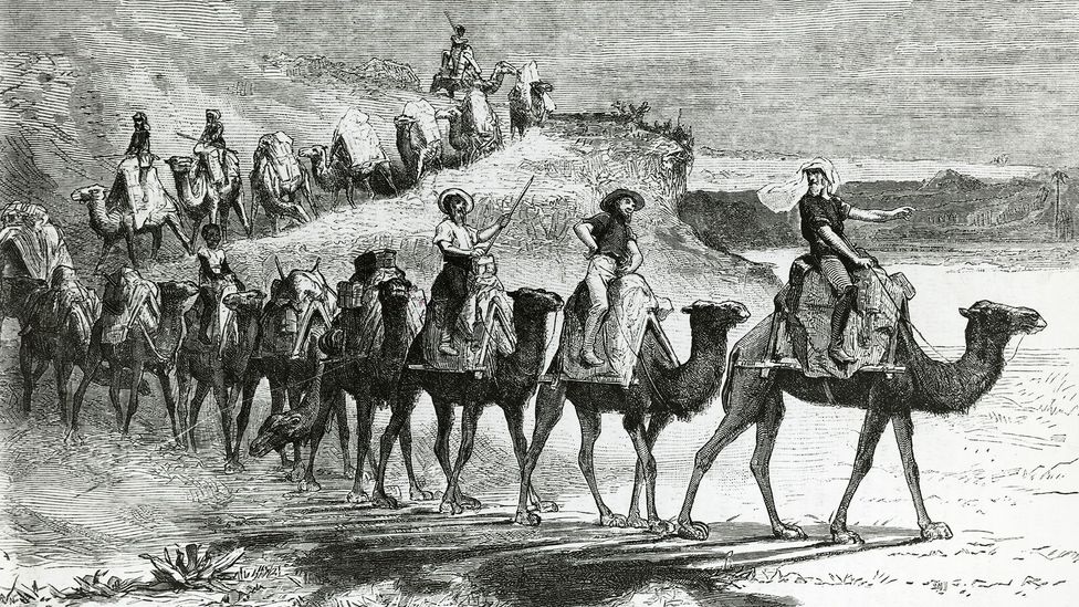In the late 19th and early 20th Centuries, camels transported goods and people across the Australian interior (Credit: De Agostini Picture Library/Getty Images) In the late 19th and early 20th Centuries, camels transported goods and people across the Australian interior (Credit: De Agostini Picture Library/Getty Images)