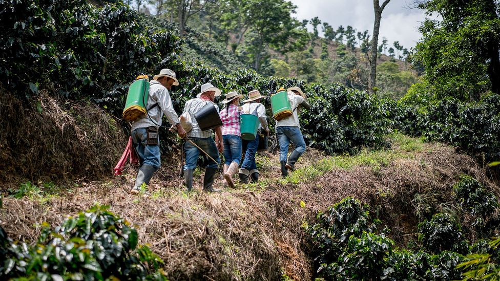 Humans experience a survival advantage when we work together (Credit: Getty Images) Humans experience a survival advantage when we work together (Credit: Getty Images)