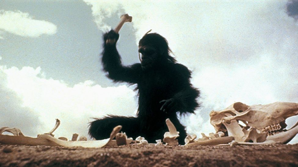 2001 a space odyssey apes