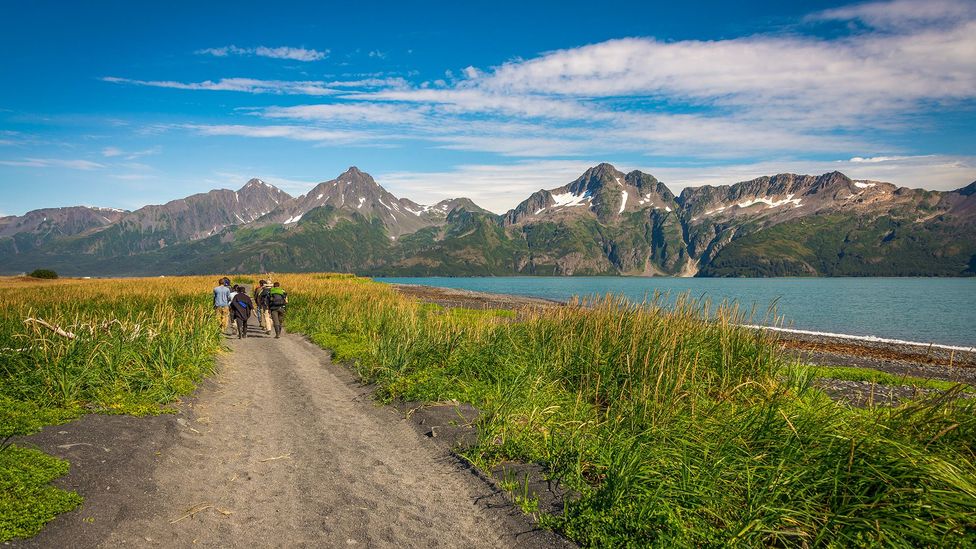 Residents can take advantage of the US’ extensive national park system (Credit: Chiara Salvadori/Getty Images)