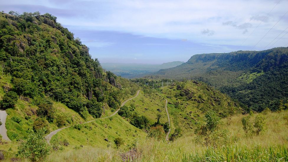 In Papua New Guinea, the Berinmo people use a single word to denote both blue and green (Credit: Getty Images)