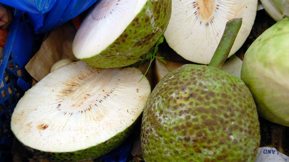 The breadfruit, or uru, is a significant part of the diet and culture of French Polynesia (Credit: Photofusion/Getty Images)