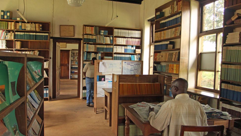 The Amani library was once a very different place (Credit: Rachel Nuwer) The Amani library was once a very different place (Credit: Rachel Nuwer)