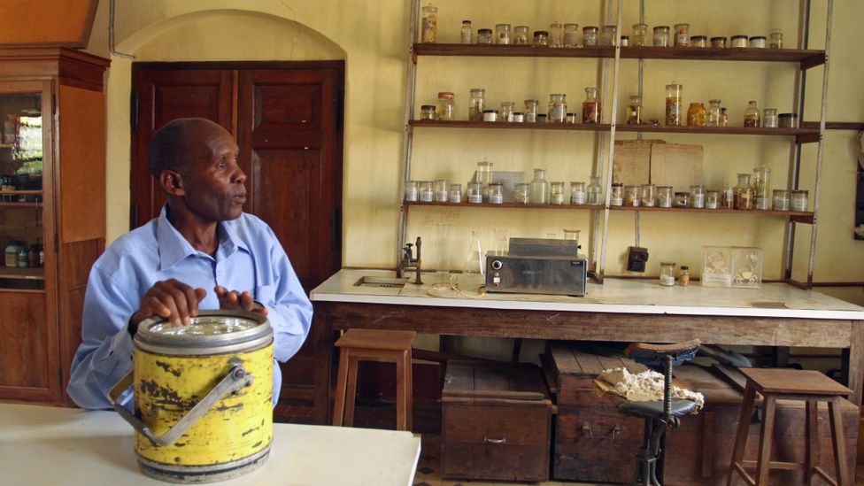 Technician John Mganga, hired in 1971, in Amani's Central Laboratory (Credit: Rachel Nuwer) Technician John Mganga, hired in 1971, in Amani's Central Laboratory (Credit: Rachel Nuwer)