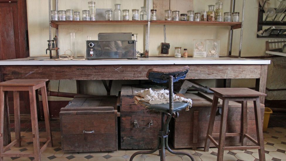 A bench and equipment in the Central Laboratory (Credit: Rachel Nuwer) A bench and equipment in the Central Laboratory (Credit: Rachel Nuwer)